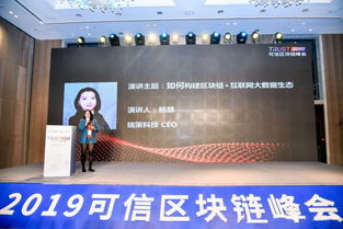 杨慧与瑞策科技 构建原生区块链商业模式，引领技术开发与咨询新浪潮